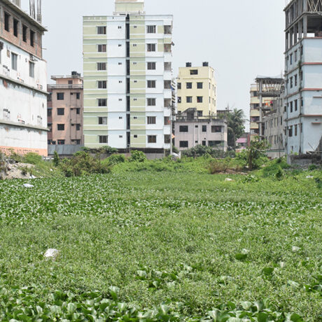 Bangladesh Garment Workers Stand up for Rights at Work