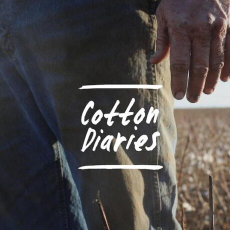 Lessons from the Cotton Diaries