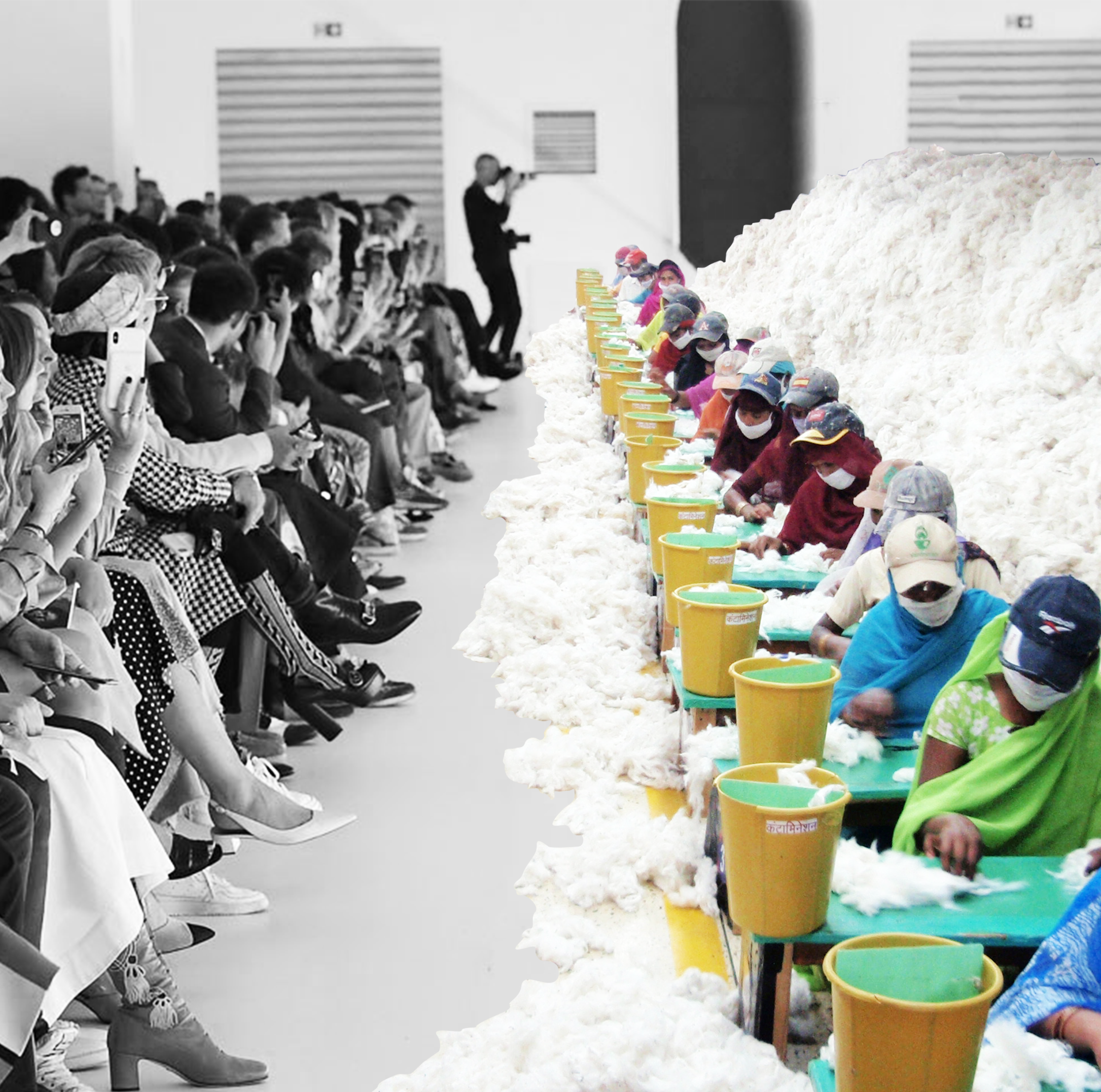 Cotton catwalk