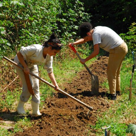 Plantar é um ato revolucionário: a participação das mulheres na transição para modelos agrícolas mais justos