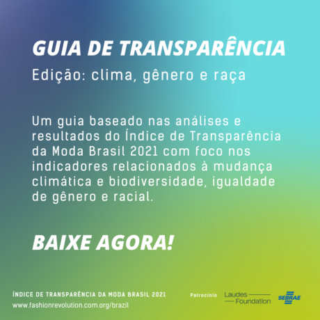 Guia de Transparência