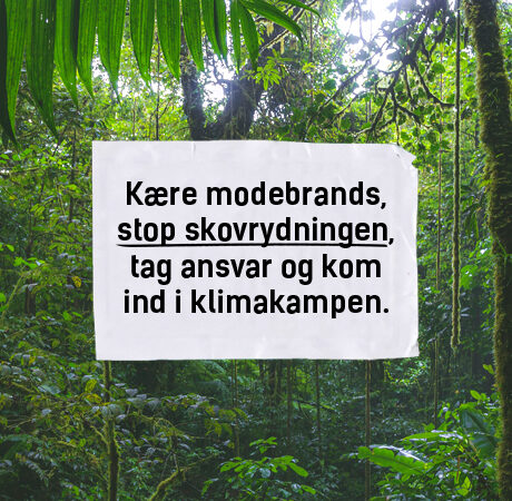 Hvornår tager modebrands et aktivt standpunkt imod skovrydning? 