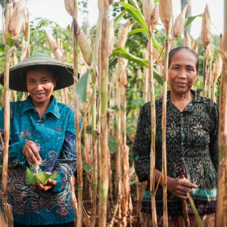 Action kit: Farmers, Producers & Factories (Español)