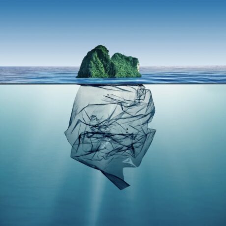 Fashion’s Invisible Footprint: How Microfibres Ripple Through our Ecosystems