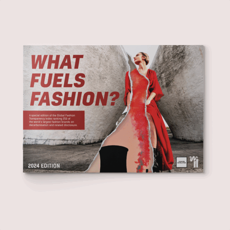 What Fuels Fashion? 2024